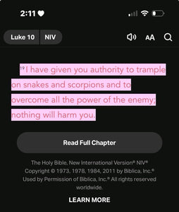 Luke 10:19
