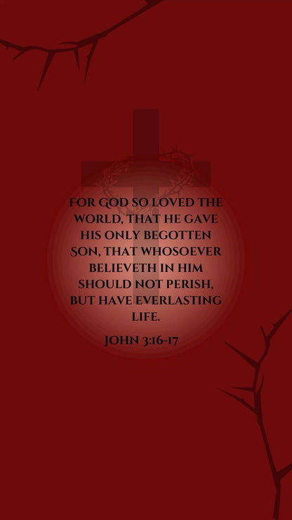 John 3:16-17